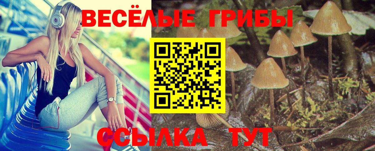 Галлюциногенные грибы ЛСД Карабулак