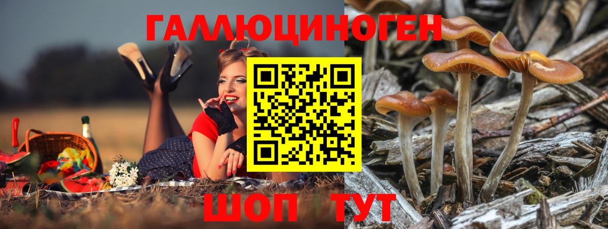 Карабулак  Псилоцибиновые грибы прущие грибы  Вход с VPN  Галлюциногенные грибы Cubensis 